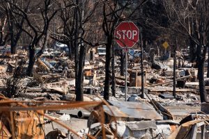 fire debris removal santa rosa